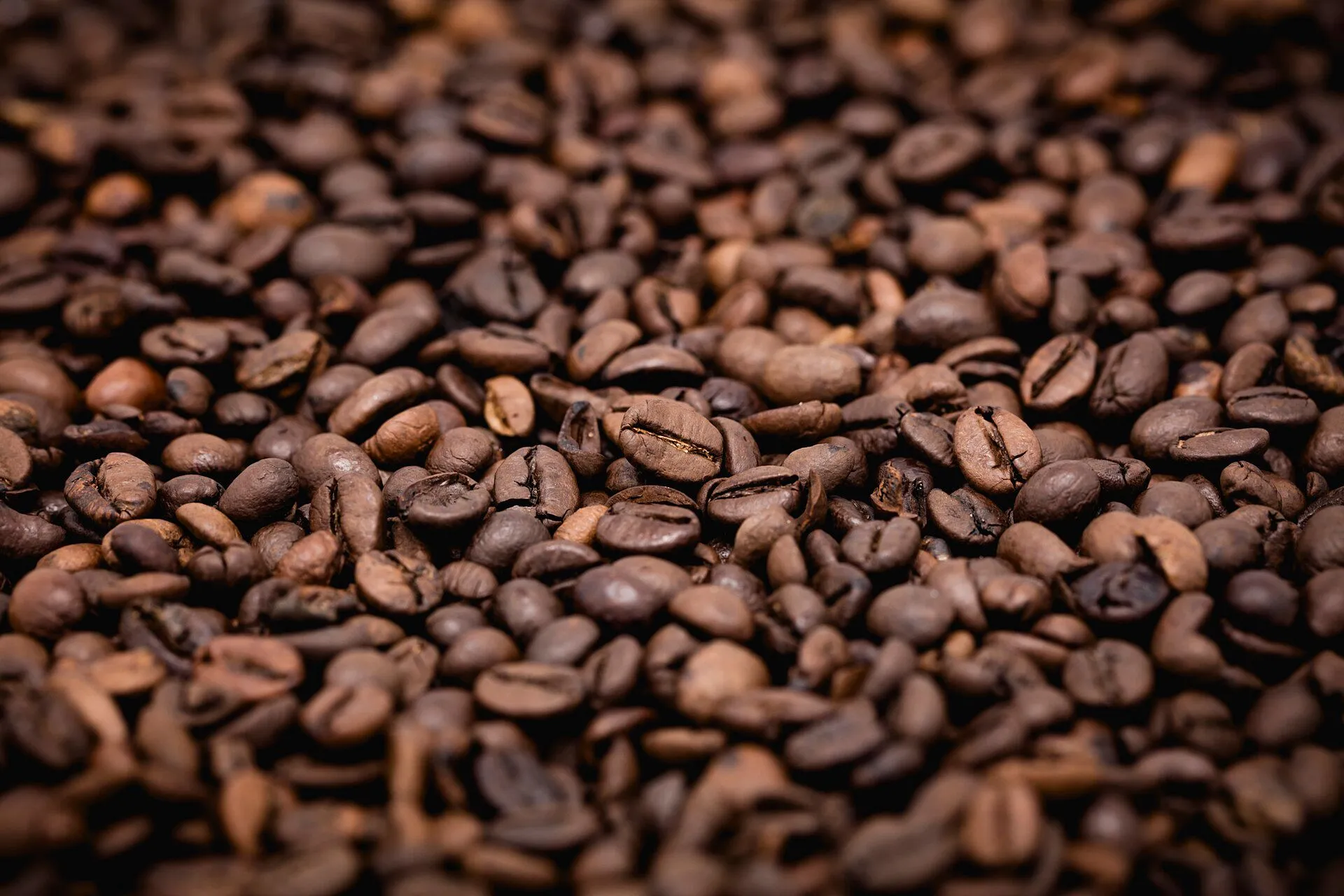 Roasted coffee beans. Photo: Popo le Chien, CC BY-SA 4.0.
