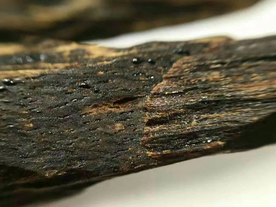Agarwood.